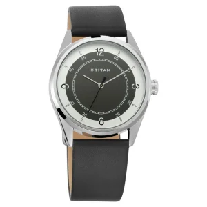 Titan Quartz Analog Multicoloured Dial(NS1729SL04)
